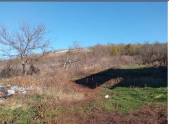 Cota parte determinata de 3/4 din Teren agricol extravilan in suprafata de 1350 mp, oras Filiasi, sat Fratostita