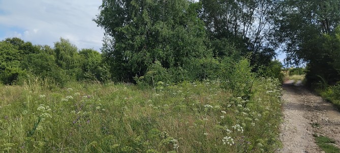 Teren intravilan 9535 mp (cota ¾ din ½), Bratca – Sat Damiș, Bihor