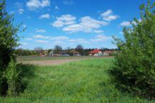 Cota de 6/16 din teren agricol extravilan sat Coseni, jud. Covasna 5903810