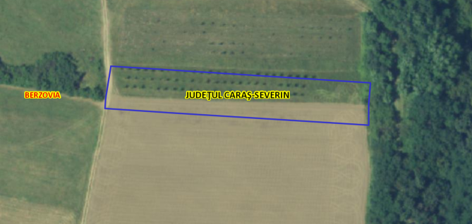 Teren extravilan agricol arabil situat in comuna Berzovia tarlaua 14, parcela 41