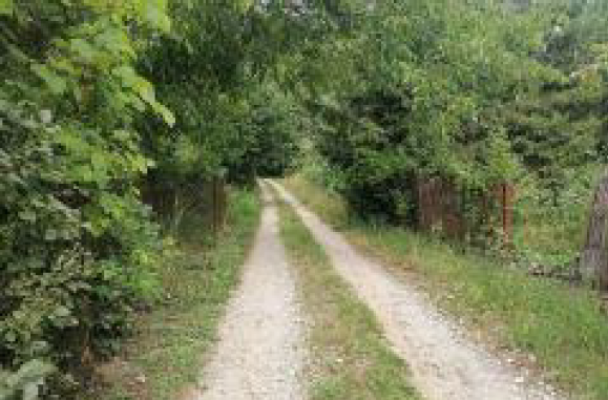 Cota de 3/16 din casa P+ M si teren in Deva, str. Nucet, Jud. Hunedoara