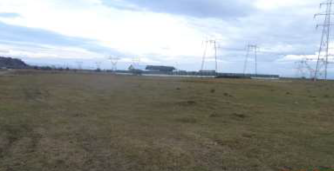 Teren agricol intravilan 12000 mp, str. Zona Timisul Sec F.N.