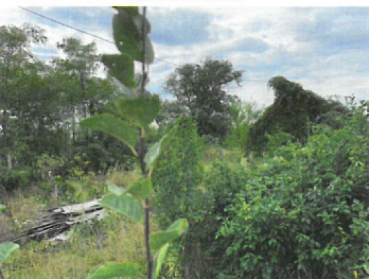 Teren agricol intravilan Buhusi, jud. Bacau