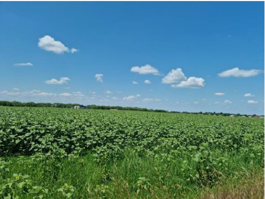 Teren agricol extravilan, localitatea Dobrosloveni