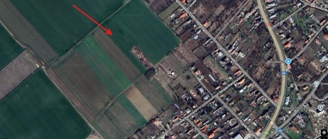 Cota 1/2 din teren extravilan 2500 mp, Sinesti, Ialomita