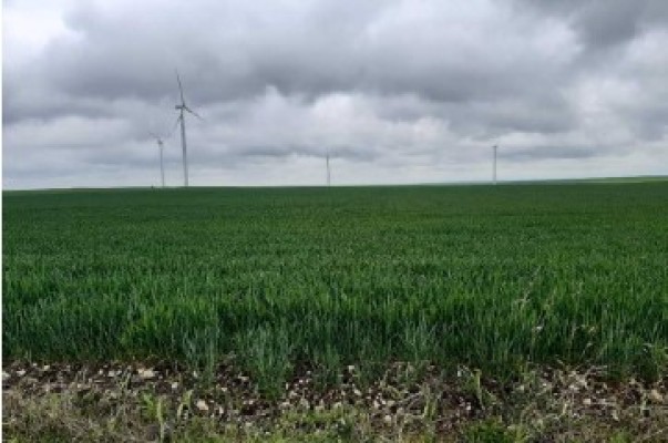 Cota de 1/5 din Teren agricol extravilan agricol, Com.Independenta, Jud.Constanta