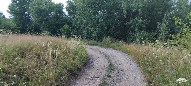 Teren intravilan 9535 mp (cota ¾ din ½), Bratca – Sat Damiș, Bihor