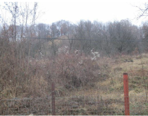 Teren agricol intravilan, Str. Liviu Rebreanu,Valea Mare Podgoria,Stefanesti