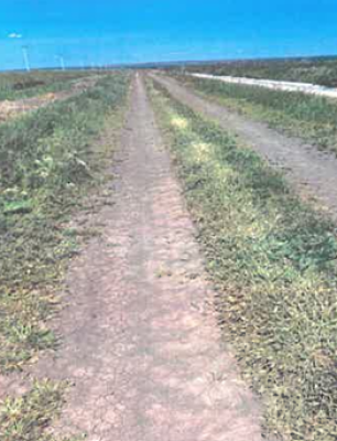 Teren extravilan agricol 1500 mp – Sat Lunca Banului, jud. Vaslui