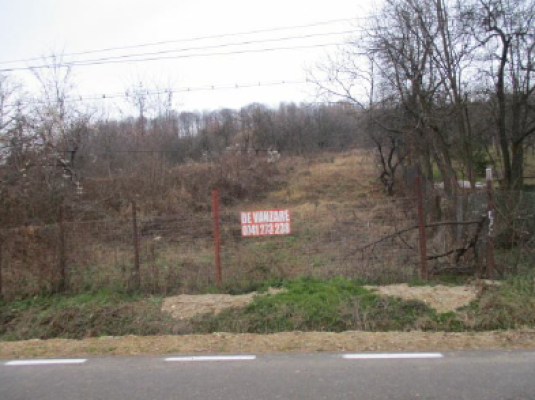 Teren agricol intravilan, Str. Liviu Rebreanu,Valea Mare Podgoria,Stefanesti