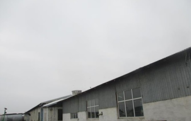 Proprietate agro-industriala Topraisar, Jud. Constanta