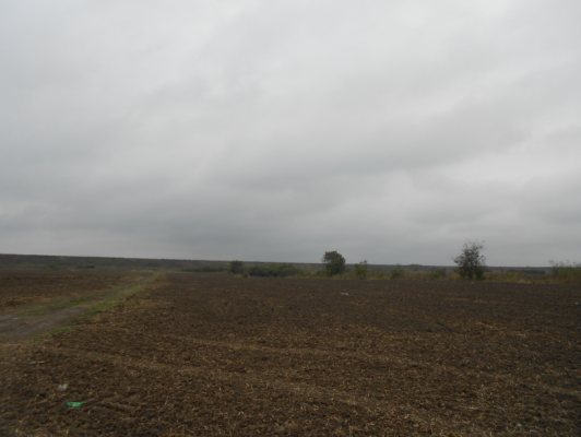 Teren intravilan - agricol Cornetu, Ilfov