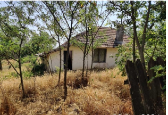 Casa tip P si teren, Seinoiu, comuna Tamadau Mare, Intrarea Marului, judet Calarasi