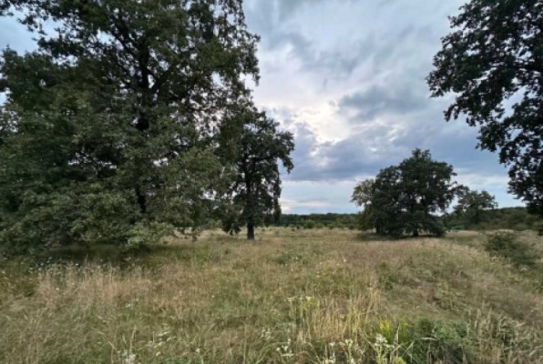 Teren extravilan agricol in Medias, jud. Sibiu