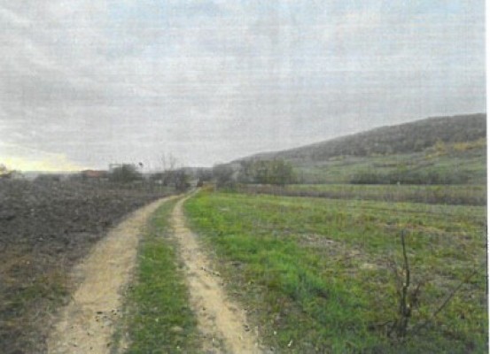 Cota 3/8 teren extravilan agricol, Com.Icusesti, Jud. Neamt