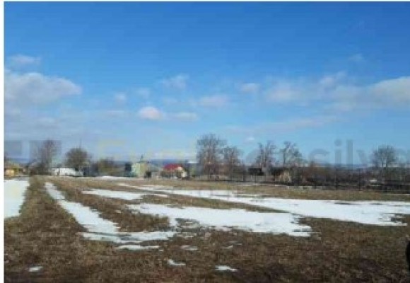 Teren agricol intravilan Loc.Pastraveni, Com Pastraveni, Jud.Neamt