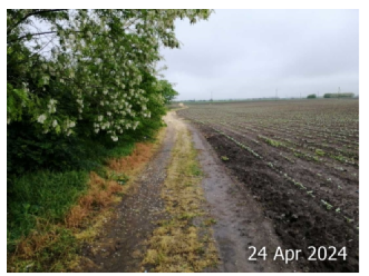 Cota 1/5 din teren extravilan, Loc. Mitreni, Jud. Calarasi