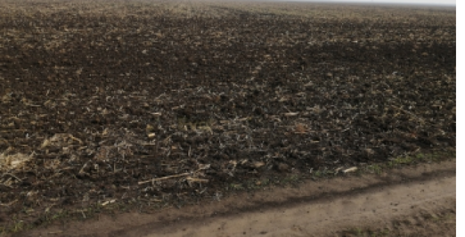 Teren agricol extravilan arabil, Comuna Ilieana, Jud. Calarasi