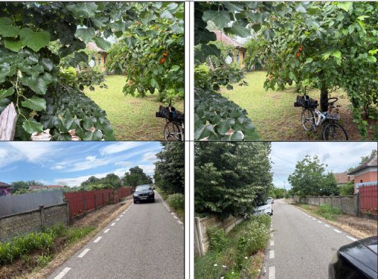 Cota de 1/2 din casă cu teren intravilan și anexe gospodărești, Sat Batoți, Comuna Devesel, Județul Mehedinți
