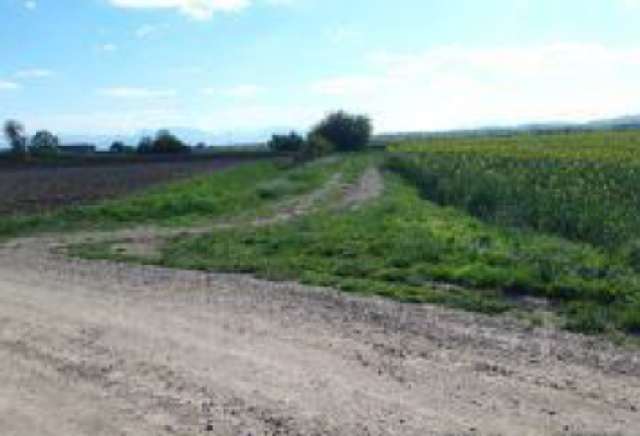 Cota de 6/16 din teren agricol extravilan sat Coseni, jud. Covasna 5903810