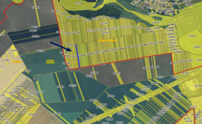 COTA DE 1/2 DIN TEREN EXTRAVILAN 5.000 MP – ALBEȘTI PALEOLOGU (PRAHOVA)