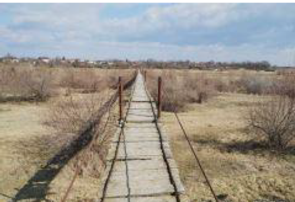 Cota de 1/2 din teren extravilan 5.000 mp – Comuna Albești‑Paleologu, sat Cioceni, Jud. Prahova