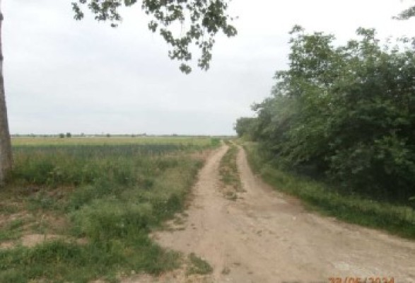 Teren agricol extravilan, Com.Mogosani, Jud.Dambovita