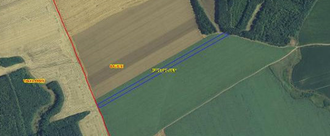 Cota 1/2 din teren extravilan agricol 16993mp, Balteni, judetul Olt