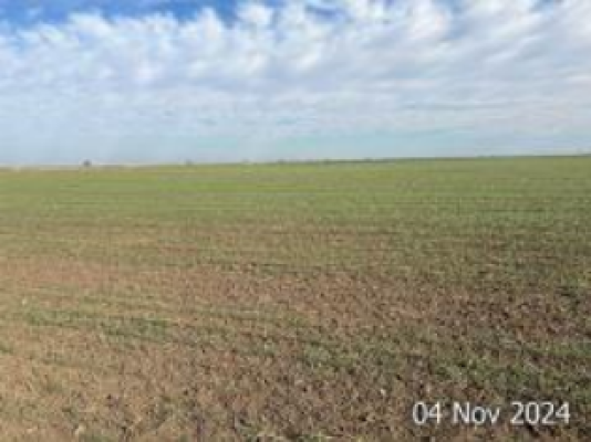 TEREN Extravilan in suprafata de 3.600 MP in Loc. Stanesti, Jud. Giurgiu