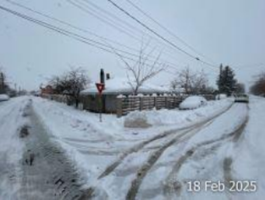 Cota 1/8 din teren intravilan curti constructii, strada salcamului, com. Baneasa, Jud. Giurgiu