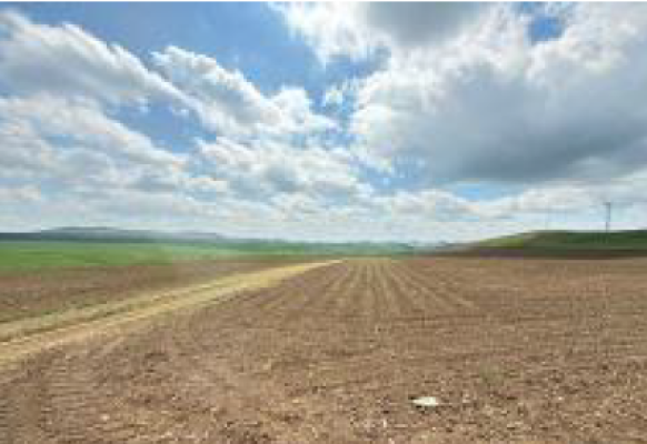 Cote indivize din teren extravilan agricol arabil, 7.500 m², Valea Teilor, județul Tulcea 7409212
