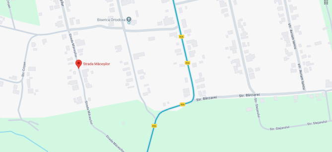 Cota de 1/2 din Imobil rezidențial reprezentând Teren si casa situate in Loc. Sosdea, Str Macesilor, Jud. Caraș-Severin