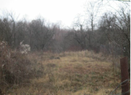 Teren agricol intravilan, Str. Liviu Rebreanu,Valea Mare Podgoria,Stefanesti