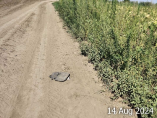 Cota de 1/6 din teren extravilan, tarla 23, parcela 63/1, Manastirea, Jud. Calarasi