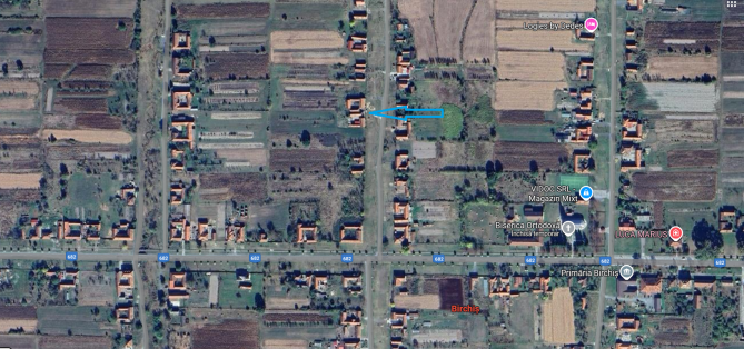Casa + teren 6694 mp - comuna Birchiș, judet Arad