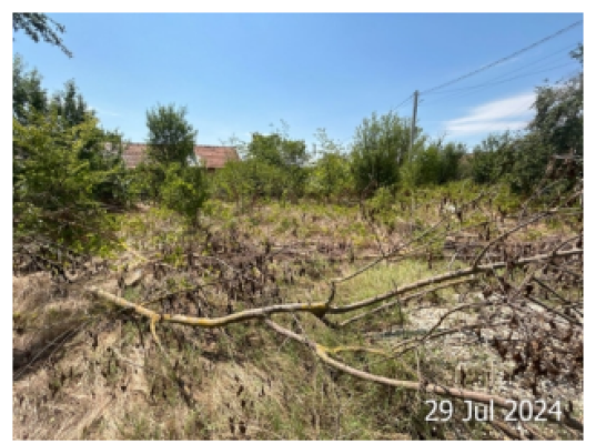 Cota 1/8 din casa si teren  situat, Loc. Cucuruzu, Jud. Giurgiu