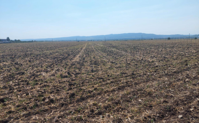 Cota 3/16 din teren extravilan, Odobesti, judetul Vrancea-6644227