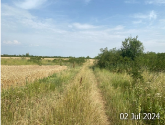 Cota de 2/5 din TEREN EXTRAVILAN ARABIL în loc. Cateasca, sat Ciresu, tarla 20, parcela 199, jud. Arges