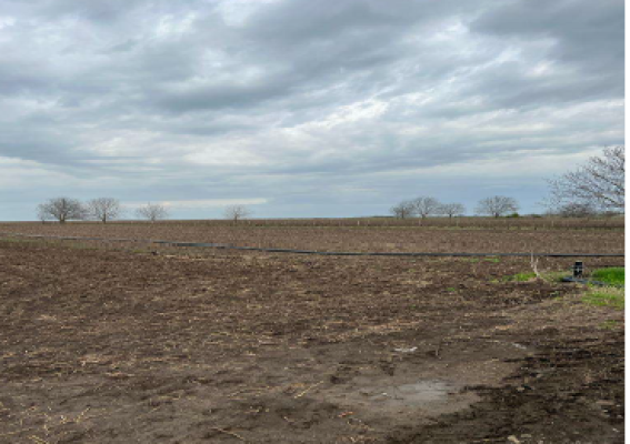 Teren extravilan 5.000 mp. sat Bujoreanca, com. Cornesti, jud. Dambovita 6326711