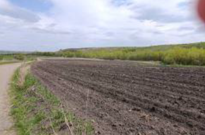Cotă 1/8 teren extravilan arabil in suprafata de 4500 mp, Comuna Ciprian Porumbescu, jud. Suceava
