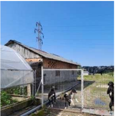 Casa P+1 cu teren Valea Voievozilor, Dambovita