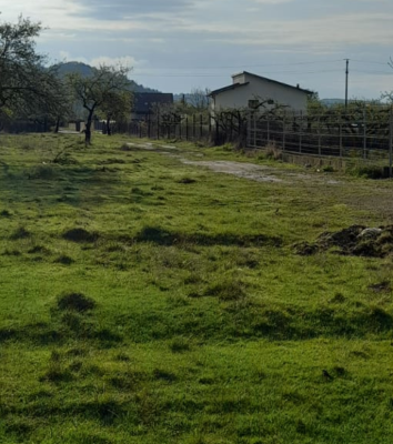 Teren agricol intravilan 3290 mp, zona Voila, Campina