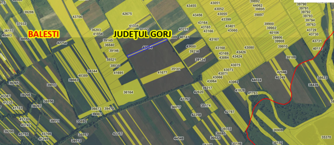 Cota de 4/24 din teren extravilan în Bălești, jud. Gorj –  6.900 mp
