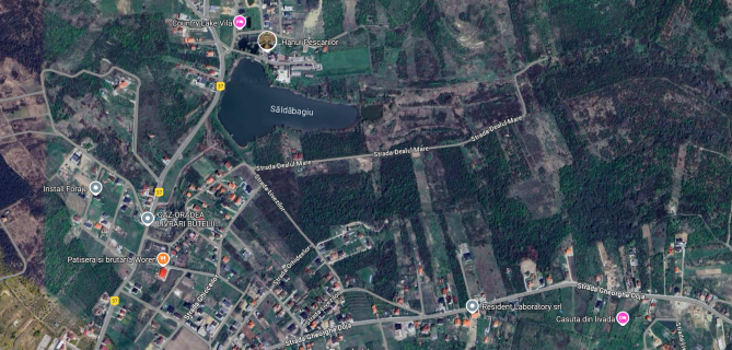 Teren agricol 638 mp – Săldăbagiu de Munte, Bihor