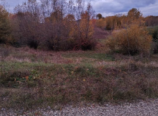 Teren extravilan în Comuna Zvoriștea, județul Suceava