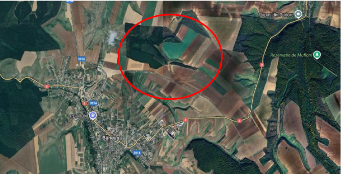Cota de 1/15 din teren agricol extravilan, com. Baneasa, jud. Constanta 5888493