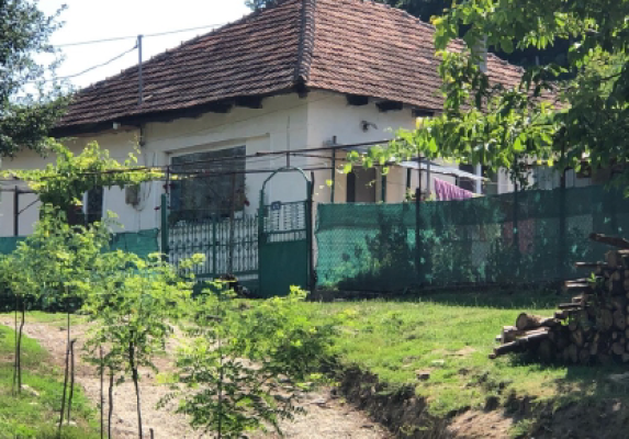 Casa si teren intravilan in suprafata de 1726 mp situata in com Brusturi BTM 3023758