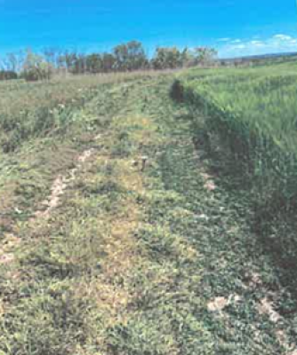 Teren extravilan agricola, Com.Lunca Banului, Jud.Vaslui