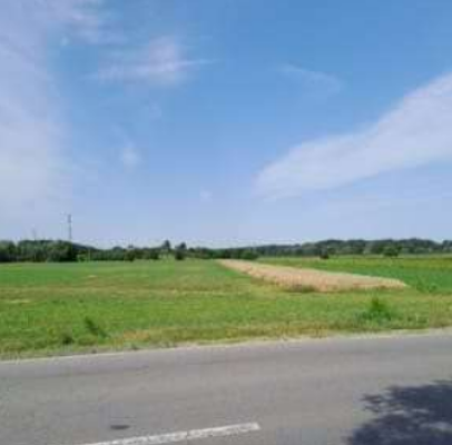 Teren agricol arabil extravilan com. Cornesti
