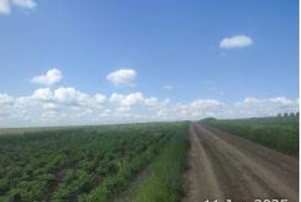 Cota 3/8 din teren extravilan agricol, Loc. Gramești, Jud. Suceava